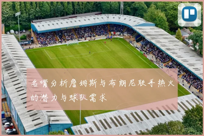 名嘴分析詹姆斯与布朗尼联手热火的潜力与球队需求