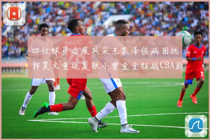 四位球员各展风采王泉泽伤病困扰郭昊文重返夏联小曾金金征战CBA新赛季